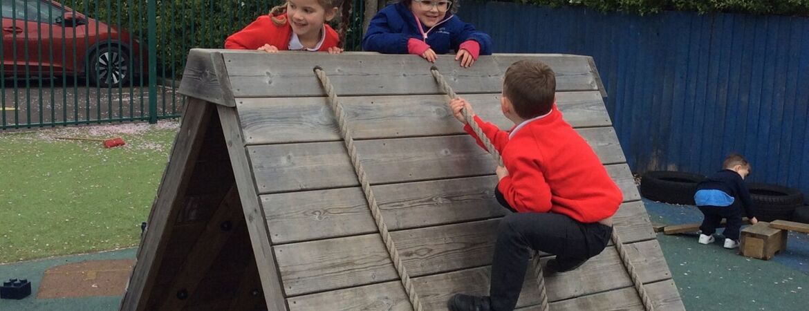 Enrichment Day