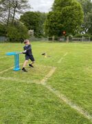 IMG 0236