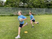 IMG 0231
