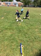 IMG 2822