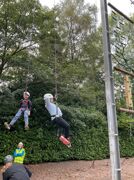 IMG 0308