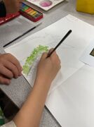 Img 1184