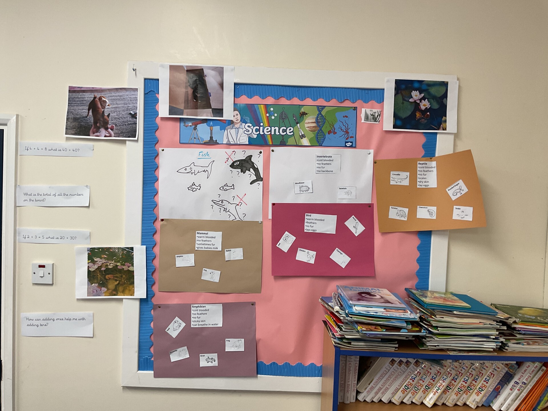 Science display