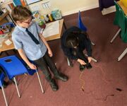 20251209 141129276 iOS