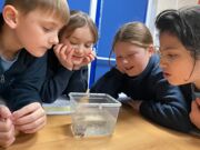 20260121 114546758 iOS