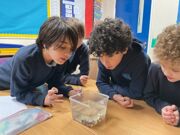 20260121 114817041 iOS