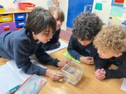 20260121 114521348 iOS